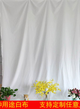 白布纯白色布料拍照摄影投影背景布涤纶涤棉画布涂鸦幼儿园扎染