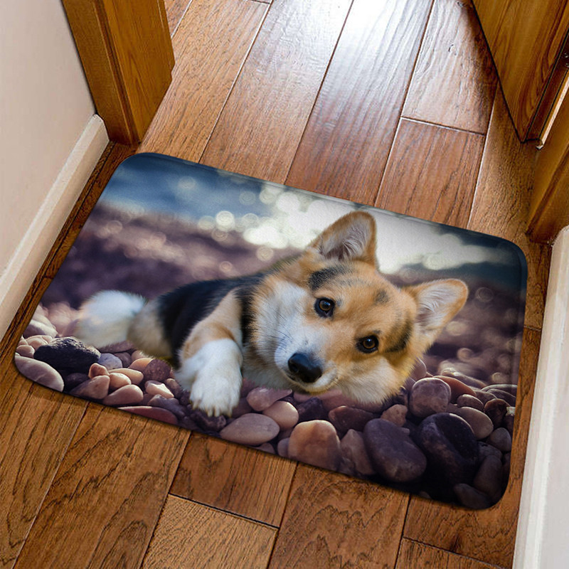 柯基犬进门地垫简约现代创意浴室垫时尚卧室踩脚垫可来图定制