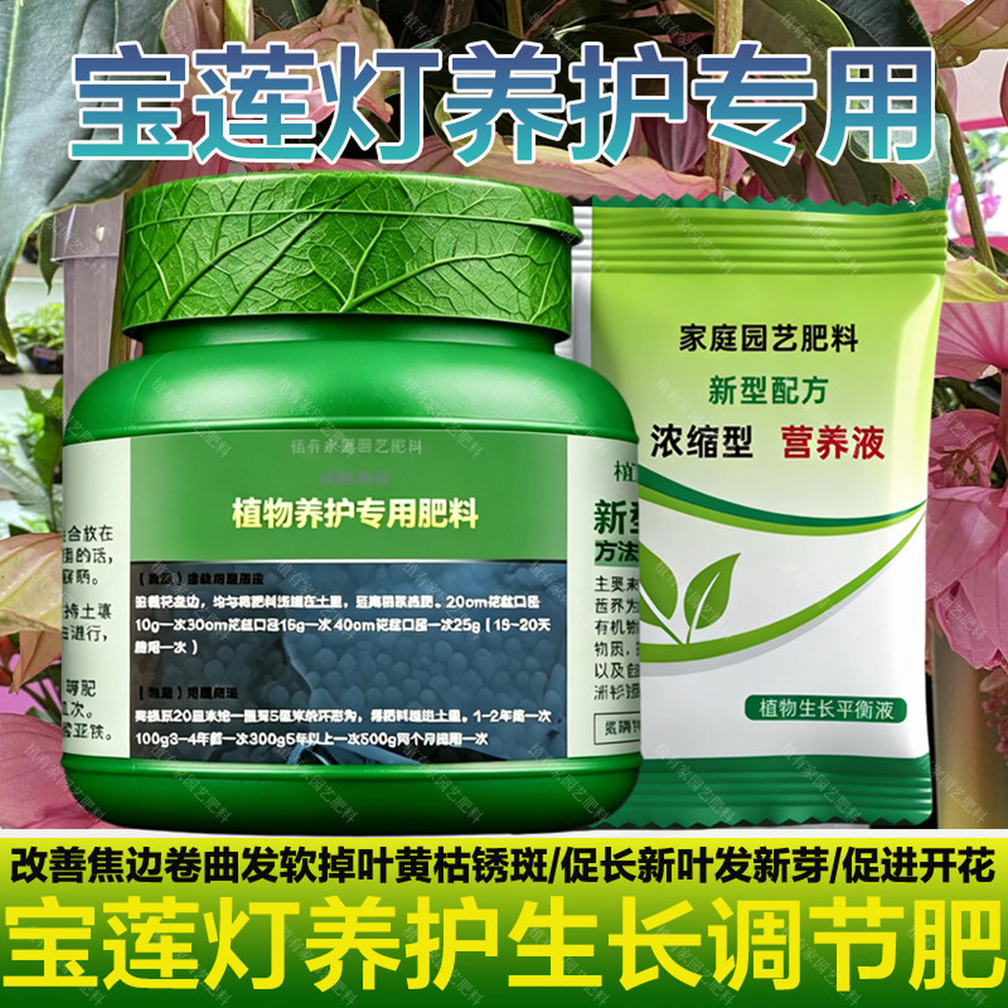 宝莲灯专用肥花园阳台盆栽宝莲花肥料珍珠宝石莲灯花营养液有机肥图片