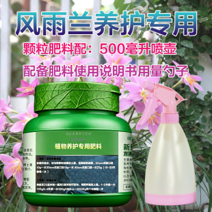 风雨兰种球种植爆花盆栽植物营养液兰花发芽出芽分株生长生崽肥料