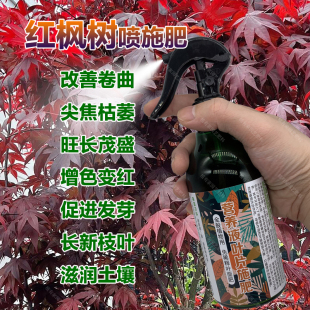 红枫树专用肥料盆栽羽毛枫黄金流泉枫金隐秋月土壤营养液叶面肥料