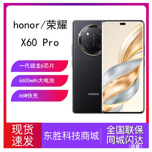 Pro新品 X60 5G智能手机6600mAh青海湖电池绿洲护眼屏 荣耀 honor