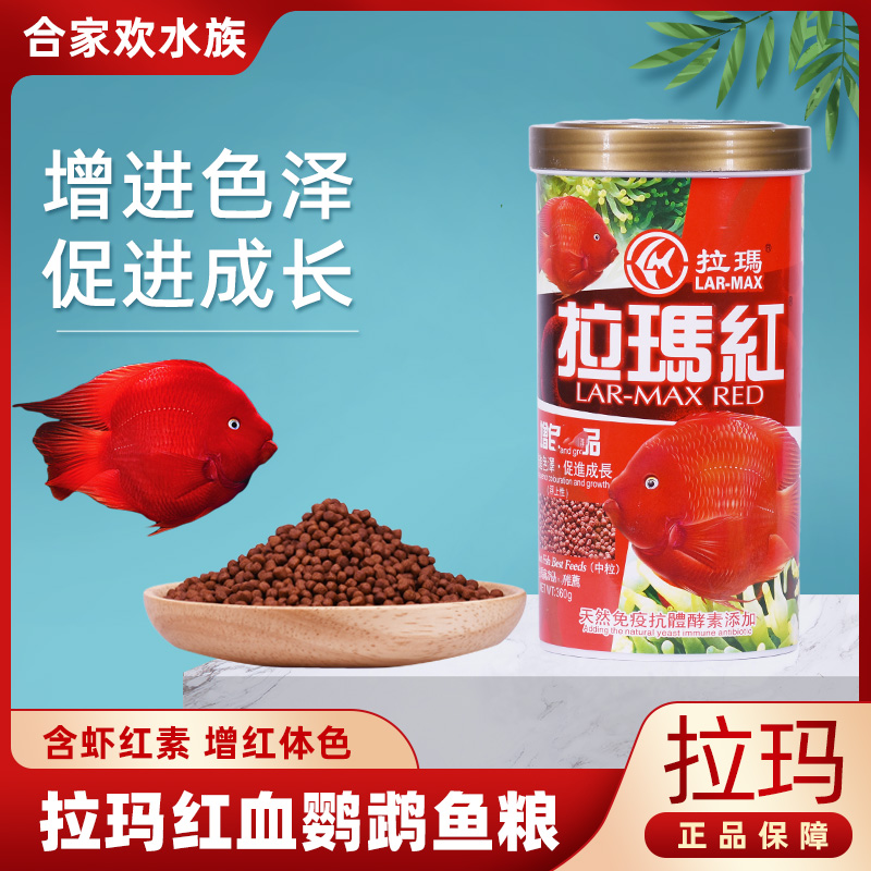 台湾拉玛红血鹦鹉增红罐装增艳