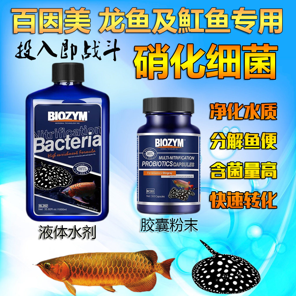 美国百因美龙鱼及魟鱼专用硝化细菌清水益生菌液体与胶囊分解鱼便图片