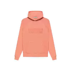 06-Fw22 Hooded Sweatshirt Stock X Goat