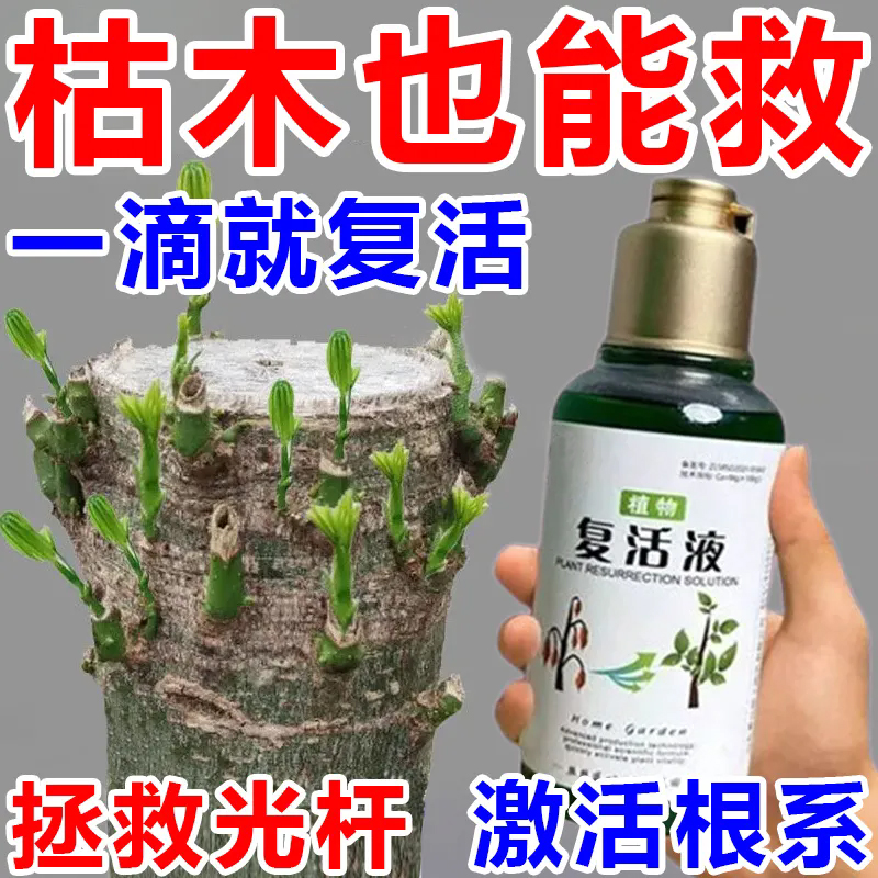 植物花卉复活液快速吸收活性生根