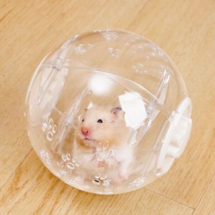 仓鼠跑球跑轮滚轮静音运动球支架金丝熊松鼠用品跑步球滚球户外球