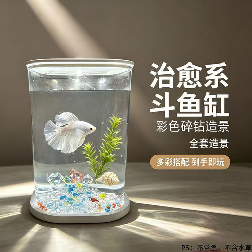 治愈系新款小型桌面高透明生态缸