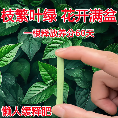 植物缓释肥营养棒养花通用型花肥
