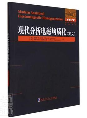 现代分析电磁均质化=Modern Analytical Electromagic Homogenization:英文汤姆·麦凯普通大众电磁学英文自然科学书籍