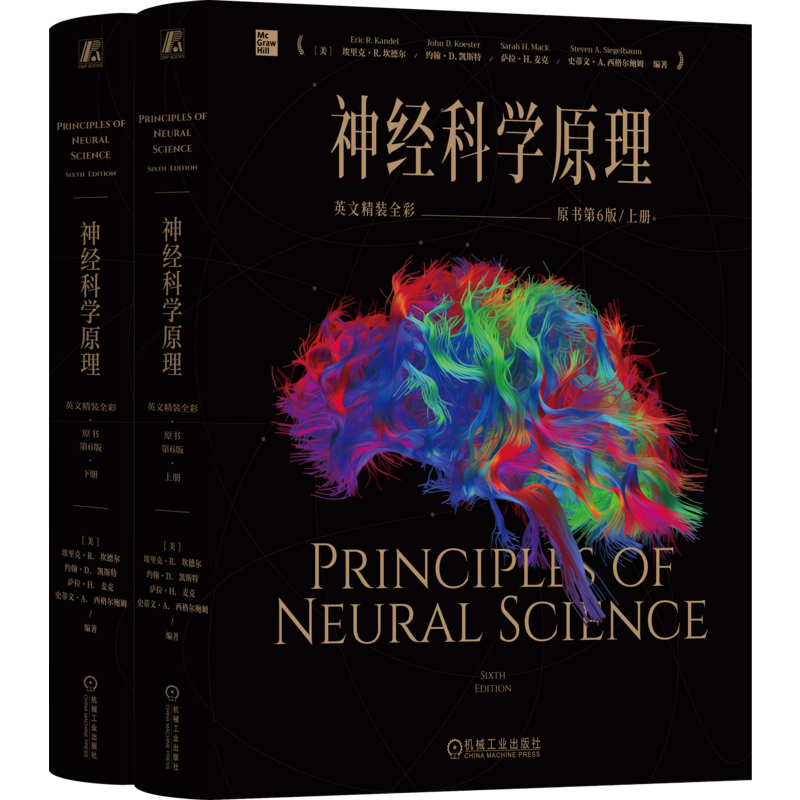 神经科学原理 英文精装全彩原书第6版六版 埃里克 坎德尔 神经科学原理 精神病理学书籍 神经科学心理学书书籍 机械工业出版社