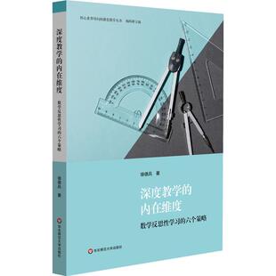 徐德兵 数学反思学六个策略 中小学教辅书籍 内在维度 深度教学