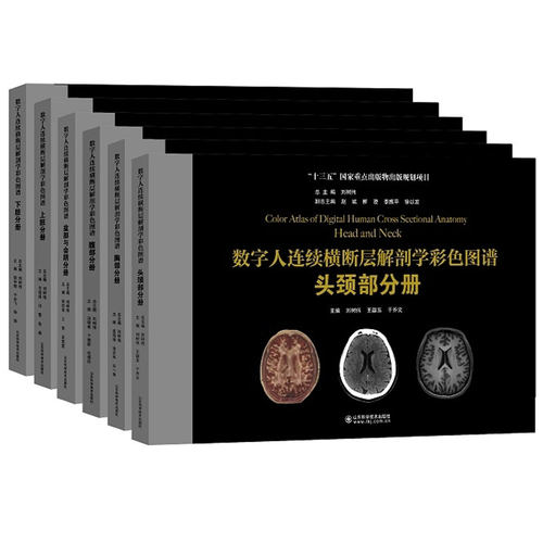 数字人连续横断层解剖学彩色图谱全套六本6册腹部+盆部与会阴+上肢+下肢+头颈部+胸部分册人体局部系统CT与MR解剖图谱临床