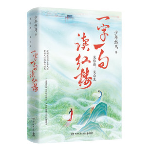一字一句读红楼 鲜衣怒马少年时作者少年怒马三年心血力作 妙趣横生的红楼读本 简明版人间行走指南 全维度解读红楼梦书籍