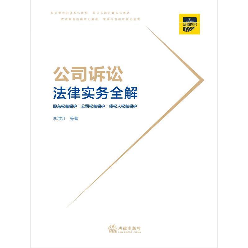 公司诉讼法律实务全解李洪灯律师企业法务公司经济纠纷民事诉讼法律解释中法律书籍