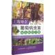 上海地区葡萄病虫害绿色防控手册田如海 林业书籍 农业