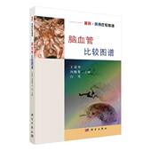 书 卫生 廷华 医药 书籍 9787030594501 脑血管比较图谱