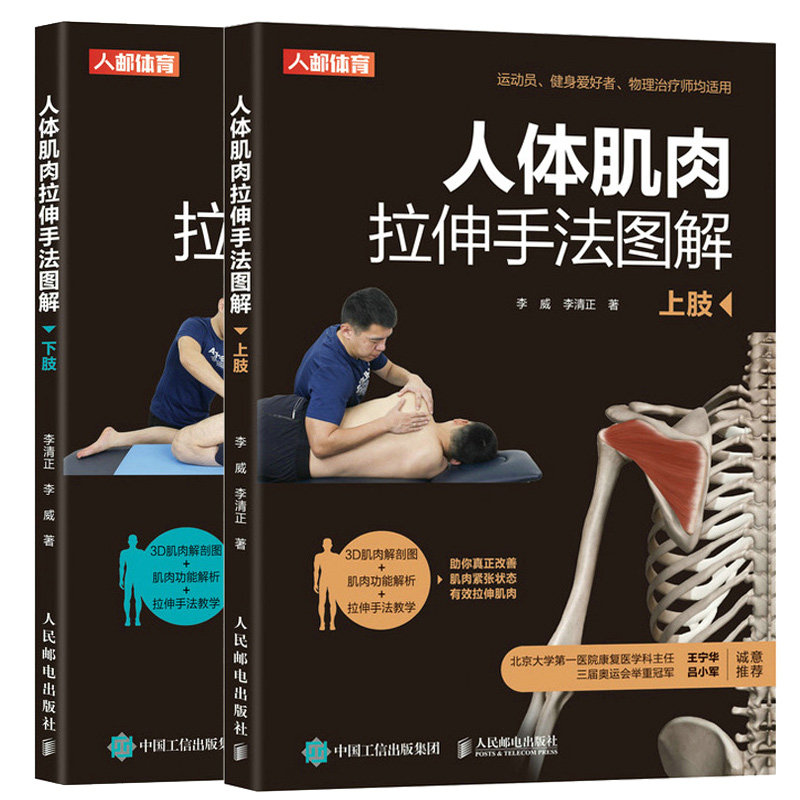 人体肌肉拉伸手法图解上下肢套装2册 运动员健身物理治疗康复师改善肌肉紧张状态有效拉伸肌肉3D解剖图功能解析拉伸手法教学书