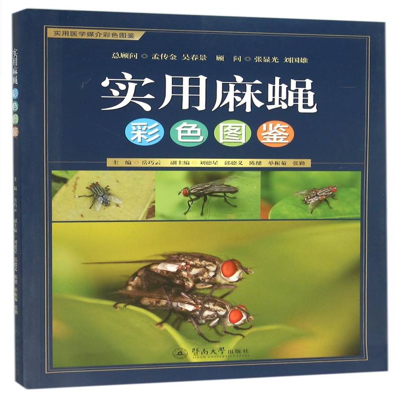 实用麻蝇彩色图鉴9787566817075 岳巧云暨南大学出版社自然科学麻蝇科图集书籍