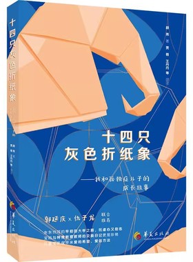 正版包邮  十四只灰色折纸象  我和我孤独症儿子的成长故事  颜燕  孤独症行为康复相关的理念、方法与新知  华夏出版社