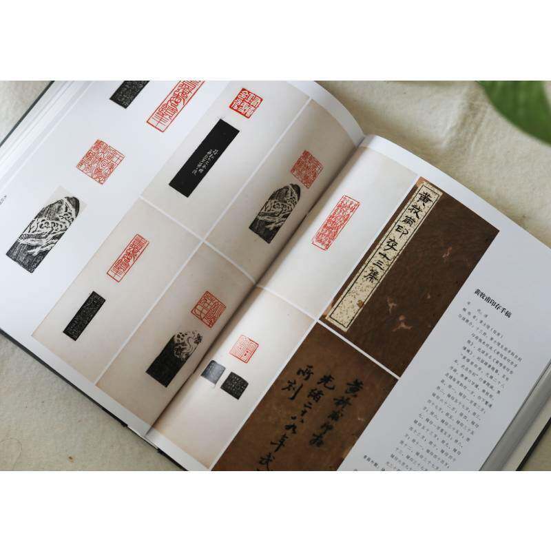 朱蜕华典:中国历代印谱特展图录9787547922033 陈振濂上海书画出版社艺术 书籍