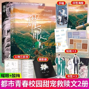 语录贴纸 酸梅 番外 CP手幅 花火青春校园双向救赎成长小说青春校园言情情感文学小说 新增出版 异形书签 2册 印签海报 耀眼