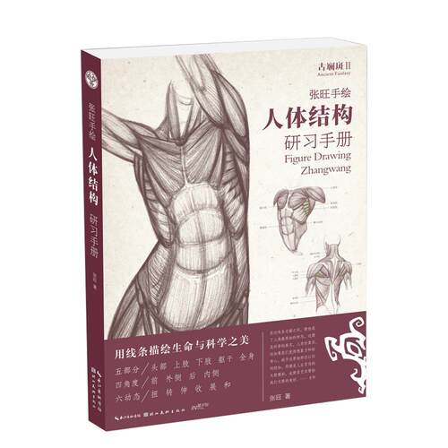 古斓斑:Ⅱ:Ⅱ:张旺手绘人体结构研习手册:Figure drawing Zhangwang9787539498942 张旺湖北社艺术人物画技法手册书籍