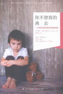 who 随笔作品集美国现代文学书籍 一个用生命感动我们 train黛比·蒂布尔斯 became boy the 绝症男孩 离去 你不曾真