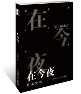 在今夜:鲁亢诗选 书鲁亢 文学 书籍