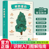 邀约 适合全年龄段看 树木知识手绘指南 正版 知识图解 树 法 自然植物观察科普书籍 包邮 维克多·古塔尔 9787559659279