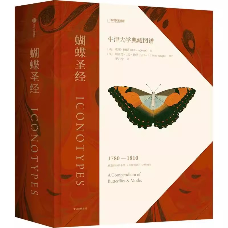 蝴蝶圣经 琼斯图谱中文版 蝴蝶手绘图谱 牛津大学自然史博物馆1600幅画作856个物种蝴蝶分类学蝴蝶标本图像科普昆虫 蝴蝶百科全