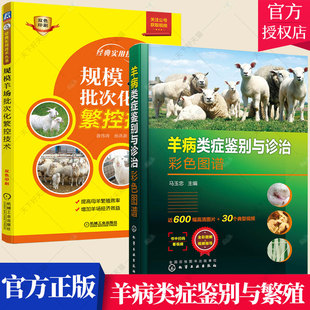 羊病类症鉴别与诊治彩色图谱 全2册 实用技术丛书 经典 管理羊场繁殖疾病防治教程提高母羊繁殖效率书籍 规模羊场批次化繁控技术