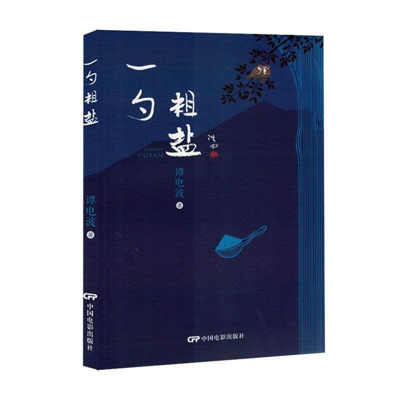 一勺粗盐谭电波 文学书籍