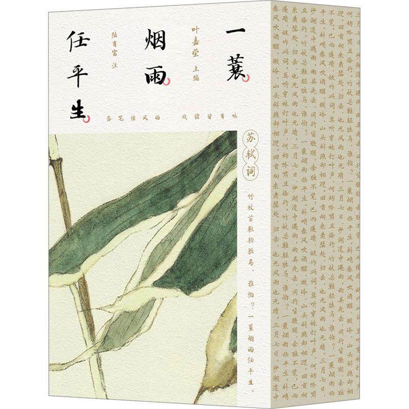 一蓑烟雨任生:苏轼词叶嘉莹 文学书籍