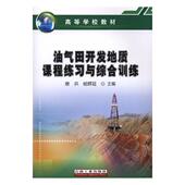 油气田开发地质课程练习与综合训练唐洪 石油天然气地质高等学校教学参考自然科学书籍