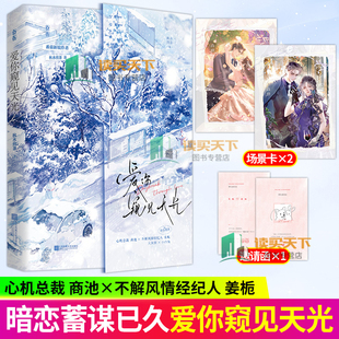 爱你窥见天光 秋水煎茶 著 心机总裁商池X不解风情经纪人姜栀 大灰狼小白兔 暗恋成真 现代都市言情小说实体书籍