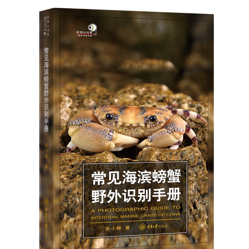 正版包邮 常见海滨螃蟹野外识别手册 张小蜂 好奇心书系野外识别手册 工具书科普读物 海滨螃蟹物种信息35科254种9787568957632