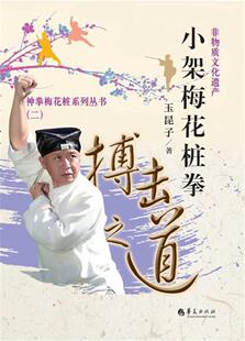 小架梅花桩拳 书玉昆子 体育 书籍