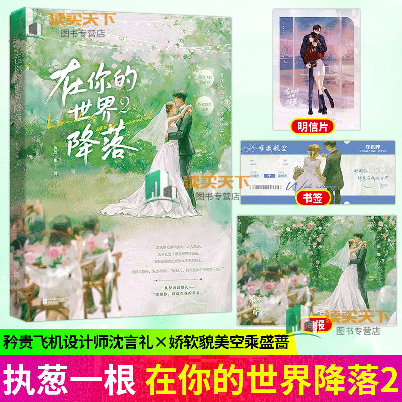 在你的世界降落2 执葱一根著 矜贵飞机设计师x娇软貌美空乘 晋江青春文学校园都市甜宠文言情小说