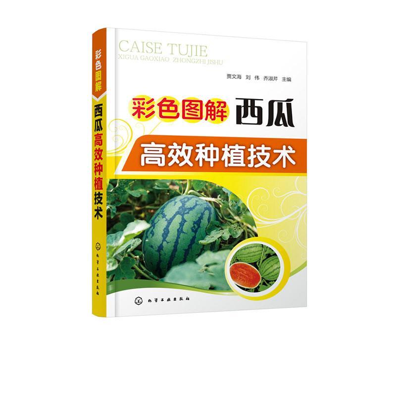 彩色图解西瓜高效种植技术 农业水果大棚西瓜种植栽培嫁接技术书籍大全病虫害防治育苗育种教程书棚室西瓜棚室西瓜高效栽培