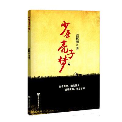 少年亮子梦 书 高辉明 小说 书籍9787517117490
