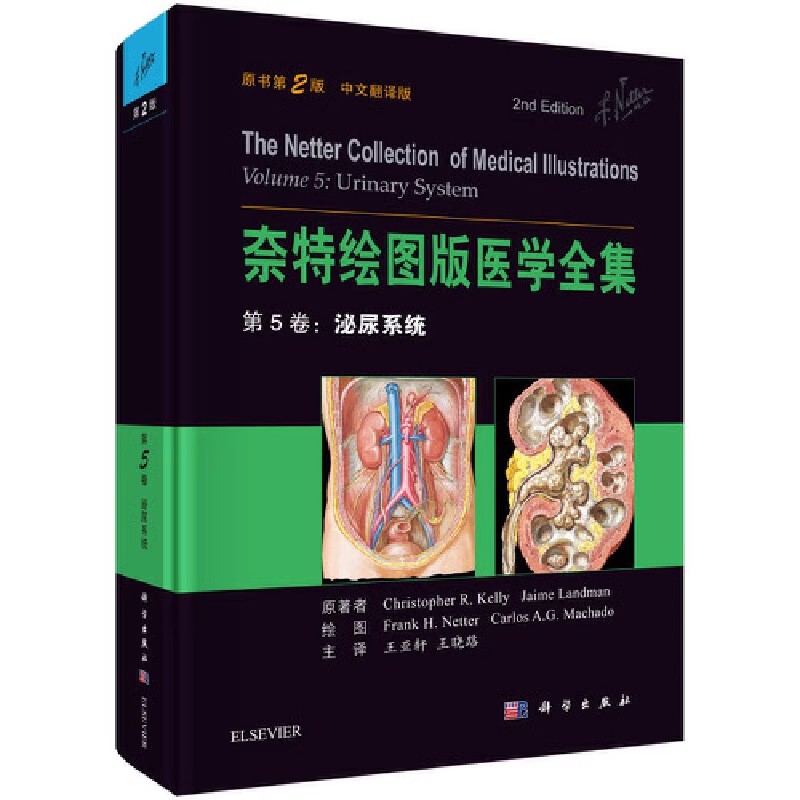 正版包邮 奈特绘图版医学全集第5卷 泌尿系统 中文翻译版 解剖学图谱人体解剖彩色学图谱系统奈特图谱 解剖学基础教材医学书籍