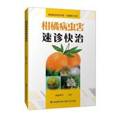 林业 农业 书籍 书陈福如 柑橘病虫害速诊快治