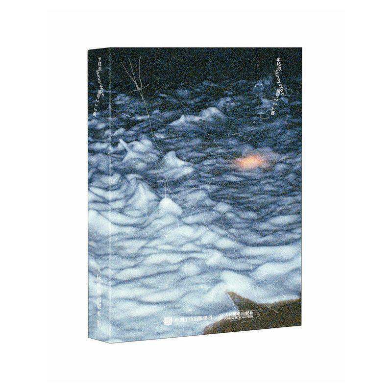 半枝浪 编号223摄影作品集 编号223摄影集画册个人摄影图集光影构图影像艺术充满私密叙事与诗意碎片的摄影集
