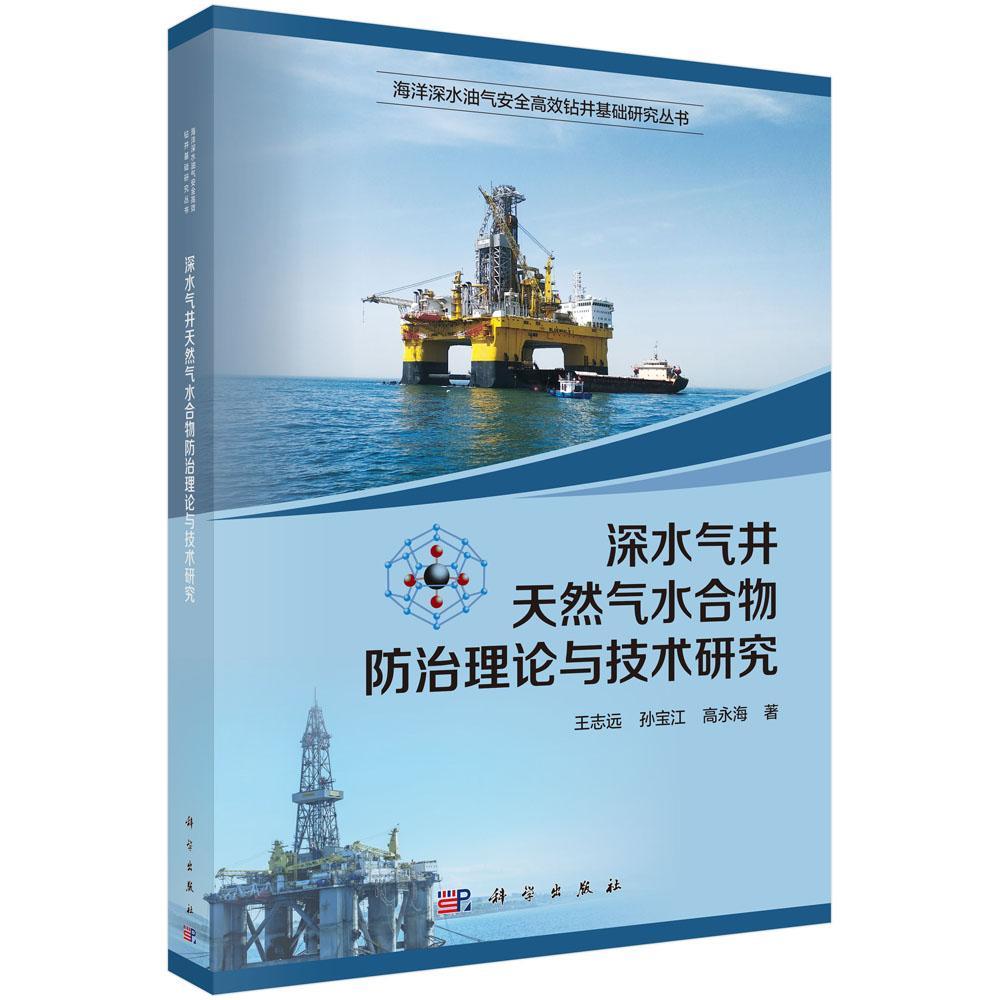 深水气井天然气水合物理论与技术研究王志远  工业技术书籍