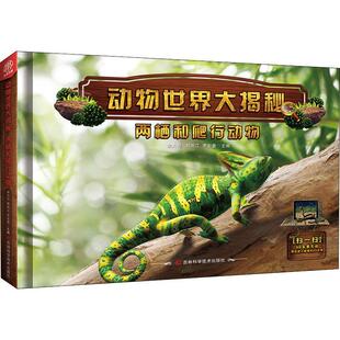动物世界大揭秘 两栖和爬行动物者_余大为韩雨江李宏蕾责_朱萌小学生古动物学青少年读物自然科学书籍