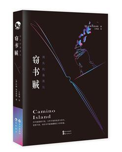 窃书贼约翰·格里森姆 小说书籍