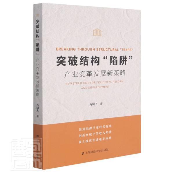 突破结构“陷阱”:产业变革发展新策略:new strategies for industrial reform and devel芮明杰普通大众产业发展研究中国经济书籍