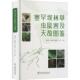 塞罕坝林草虫鼠害及天敌图鉴曹亮明 林业书籍 农业