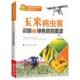 玉米病虫害识别与绿色防控图谱王燕普通大众玉米病虫害无污染技术图谱农业 林业书籍